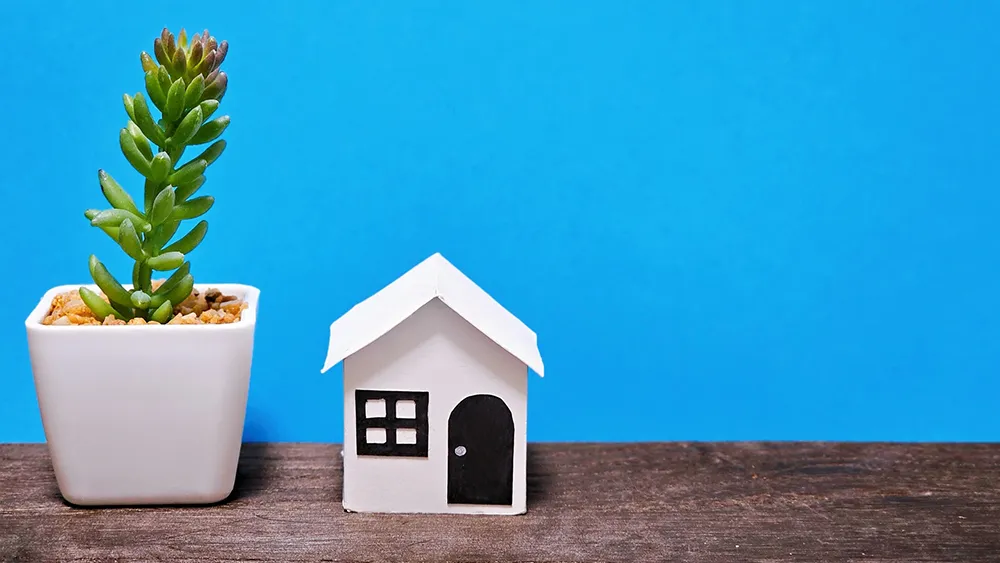 借地借家法とは